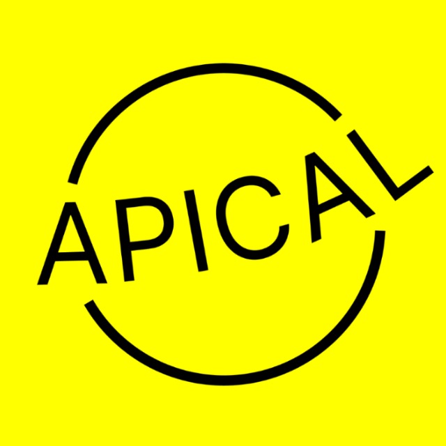 Apical S.R.L.