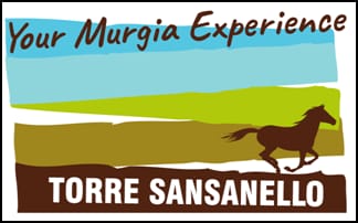 Torre Sansanello srl
