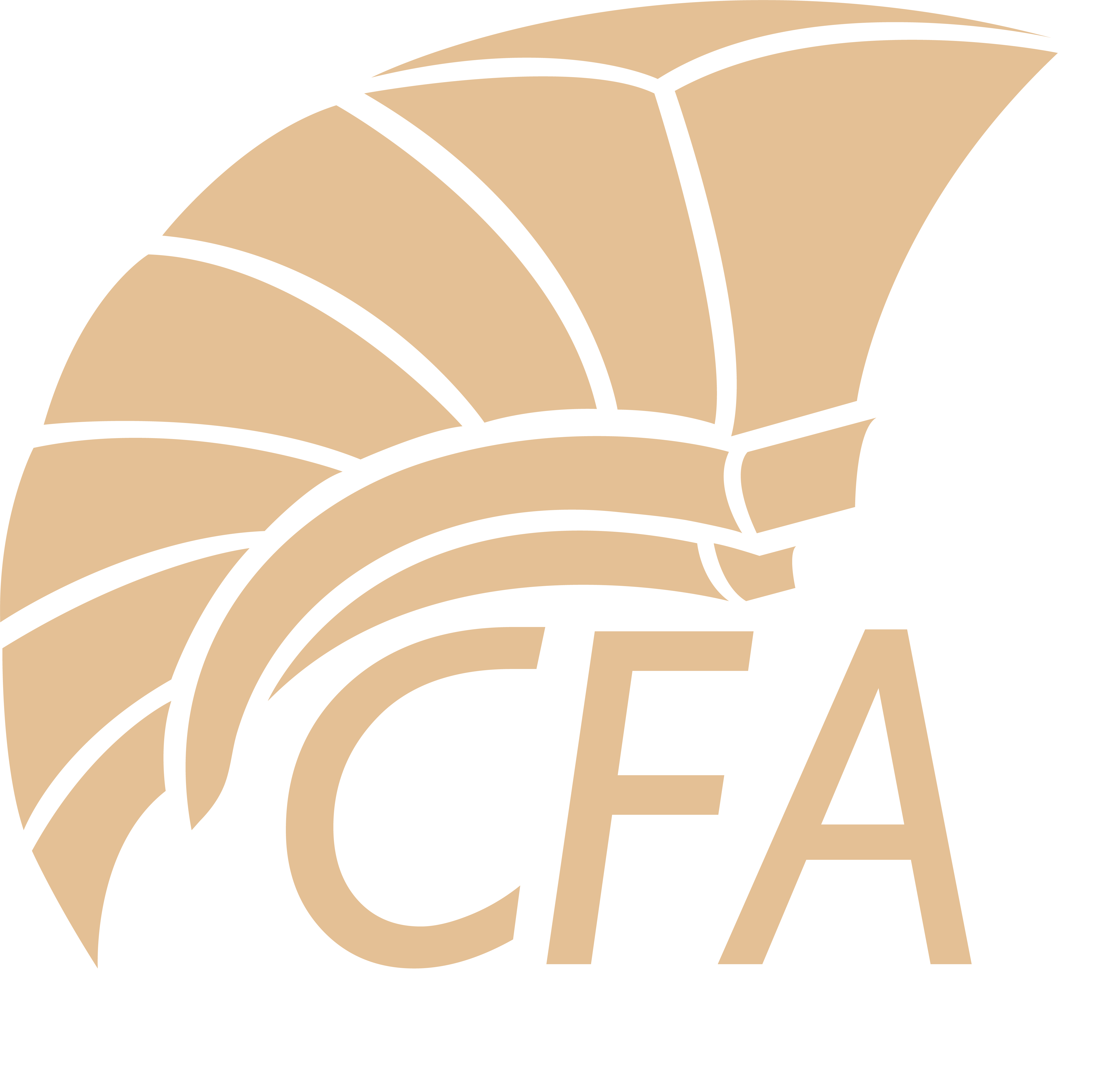 Centro Formazione Atena S.R.L.