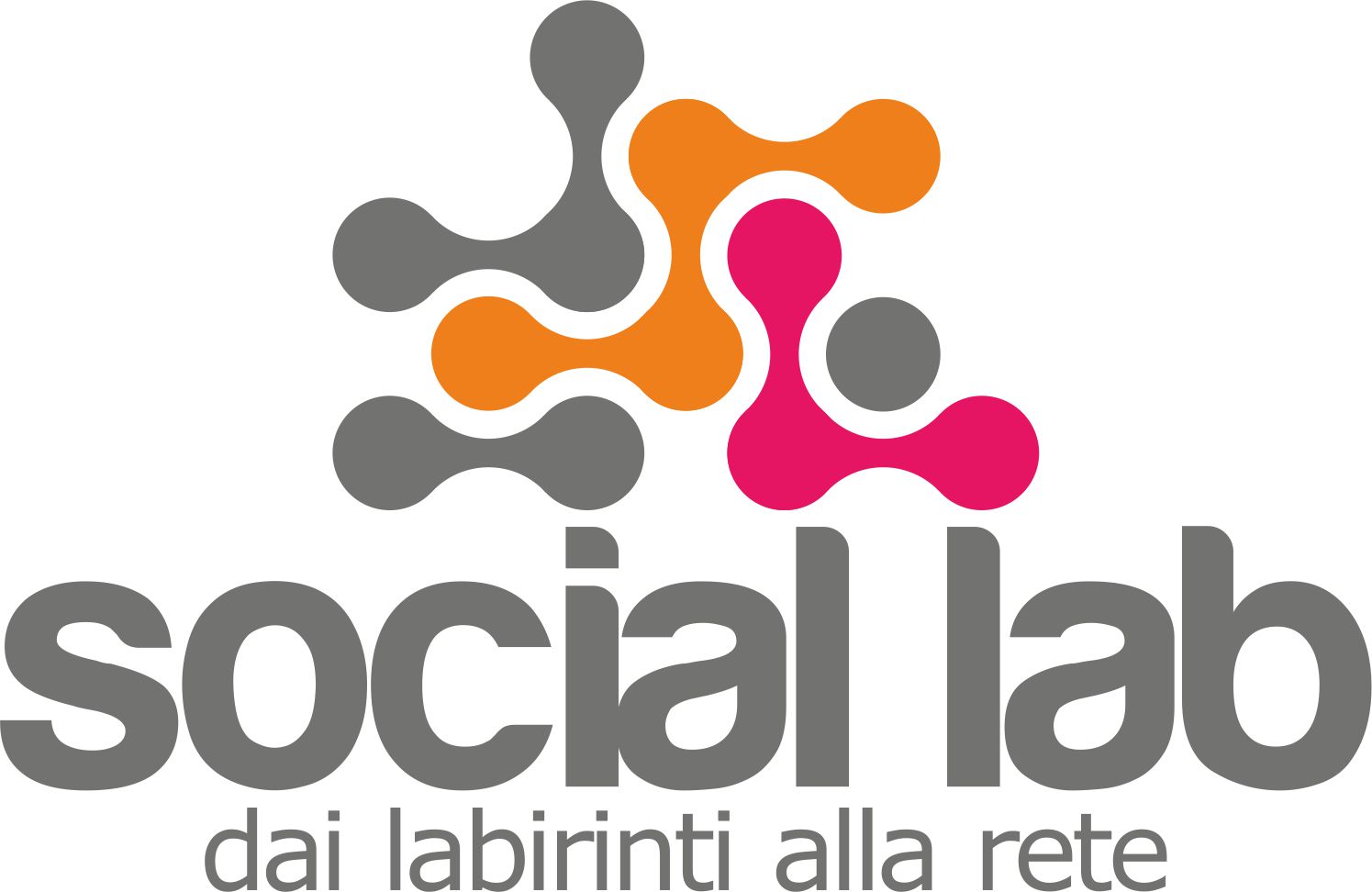 Consorzio Social Lab