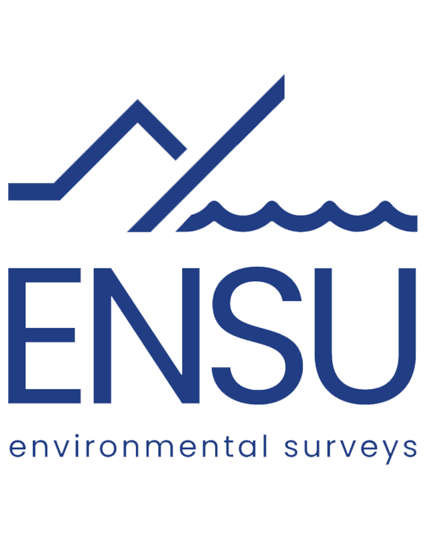 Environmental Surveys srl