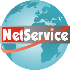 Net Service di Luigi Carbone