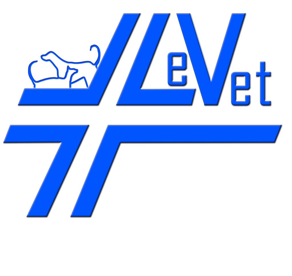 Levet S.N.C. di De Giorgi Andrea, Fiordaliso Chiara, Serinelli Ilenia S.T.P.