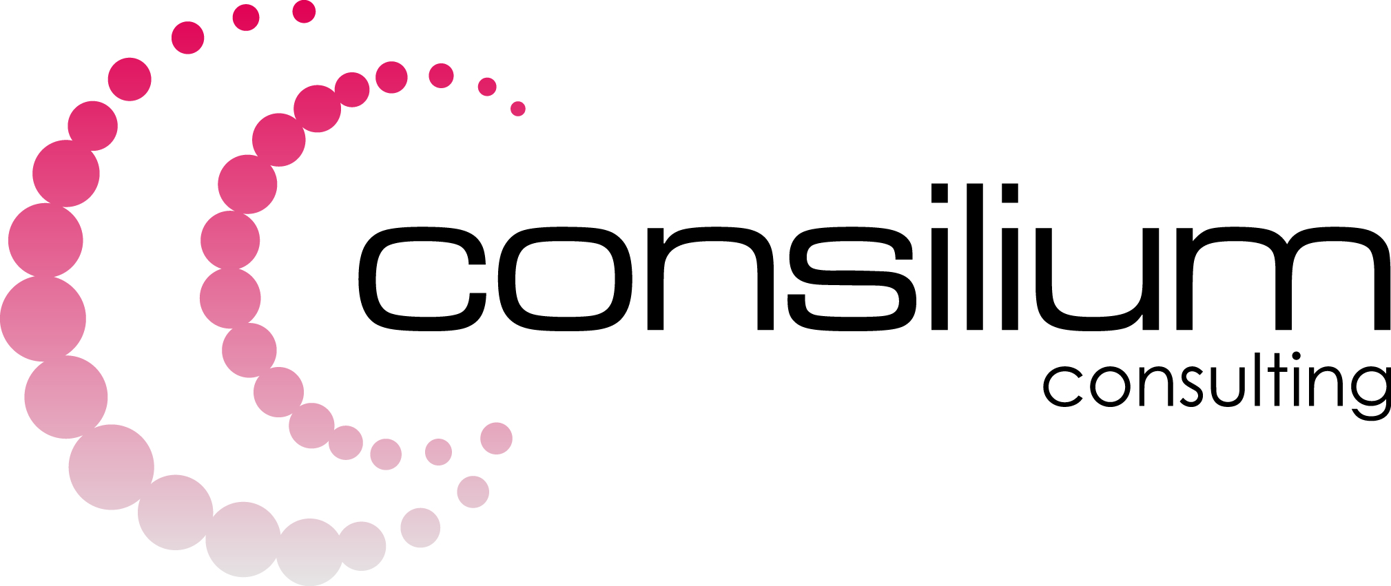Consilium s.r.l.