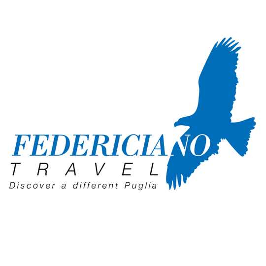 FEDERICIANO TRAVEL SRLS