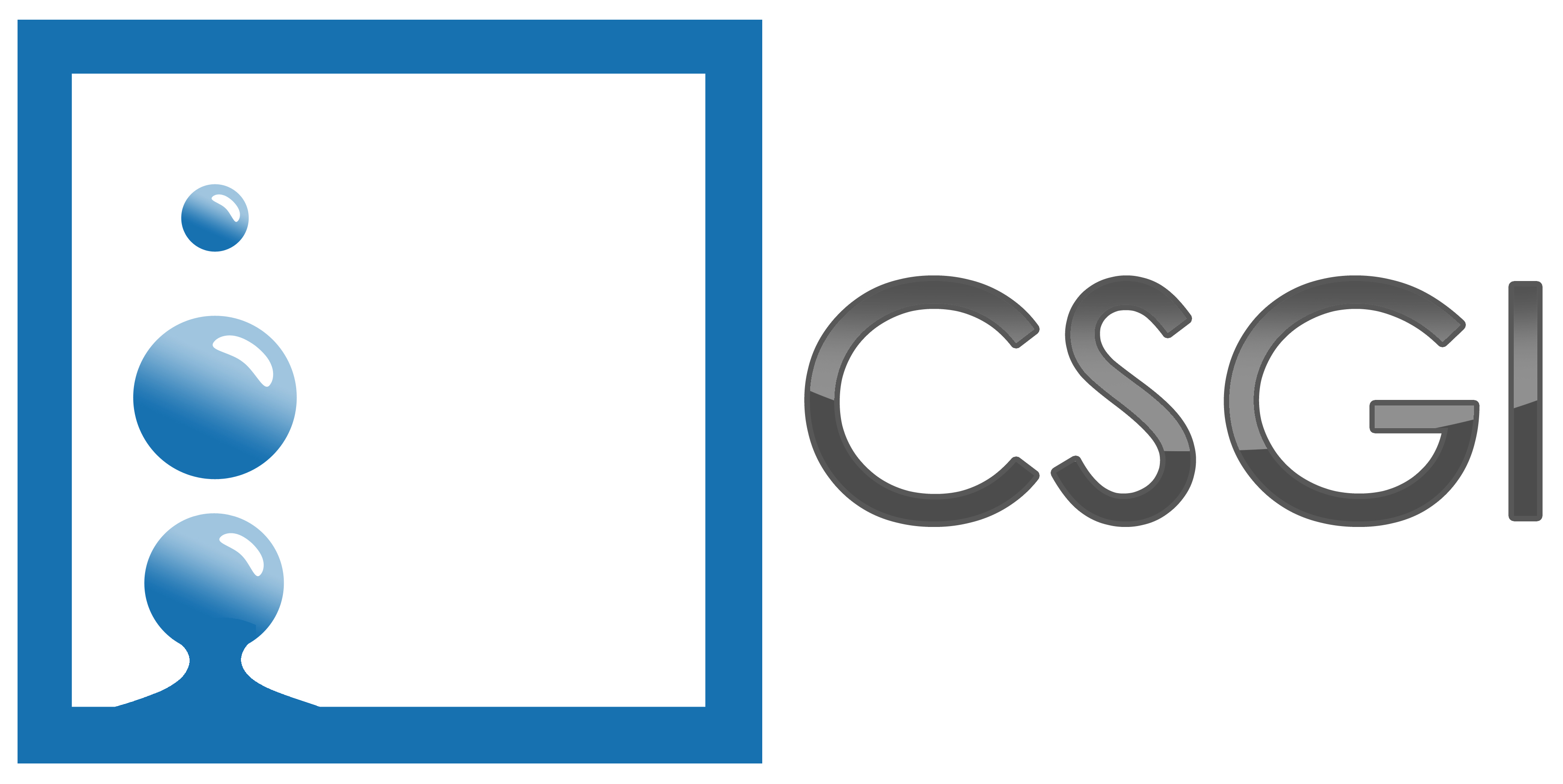 Consorzio interuniversitario per lo Sviluppo dei Sistemi a Grande Interfase - CSGI