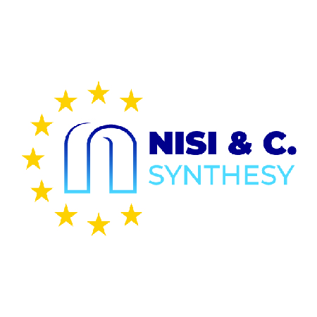 Nisi & C Synthesy soc coop sociale