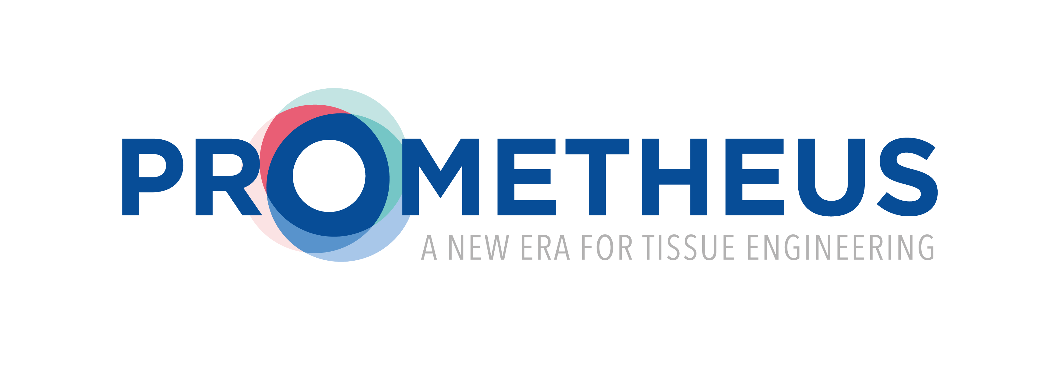 Prometheus SRL