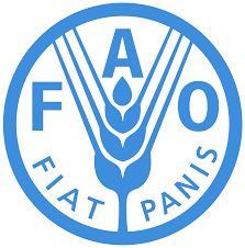 FAO - REU Internship Programme