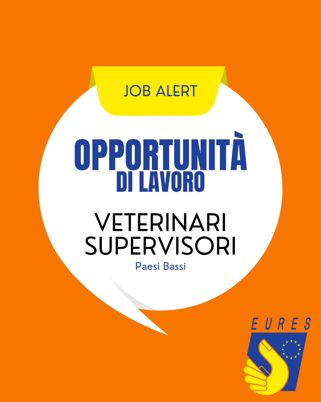 Opportunità per Veterinari nei Paesi Bassi